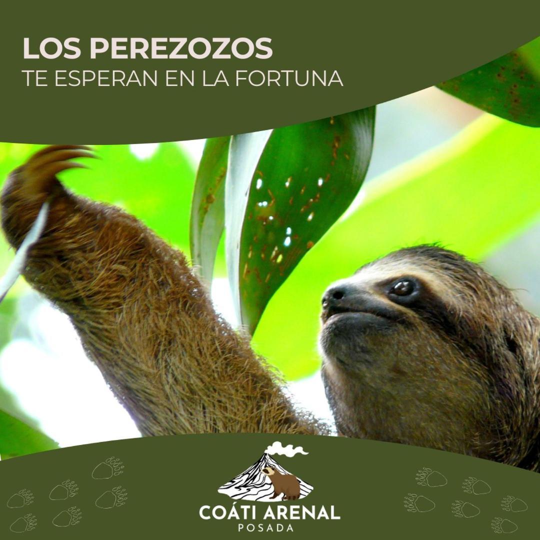 Coati Del Arenal Posada La Fortuna Esterno foto